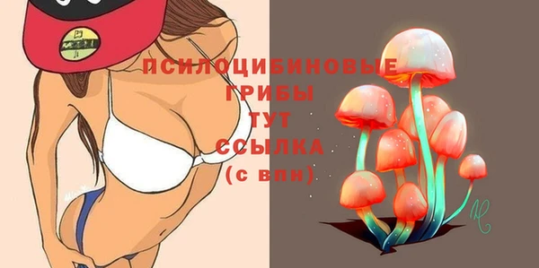СК Алапаевск