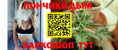 индика Аргун