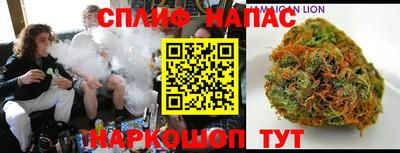 индика Аргун