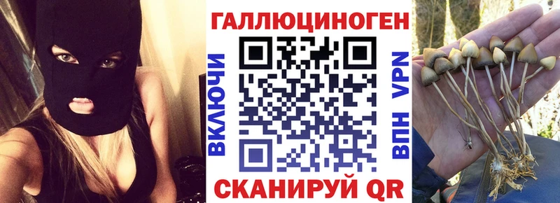Галлюциногенные грибы Psilocybe  Бахчисарай 