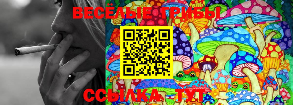 Галлюциногенные грибы Cubensis  Вход с VPN  Галлюциногенные грибы Magic Shrooms  Бахчисарай 